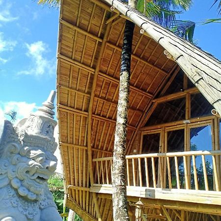 Jero Tumbuk Private Villa Selat Buitenkant foto