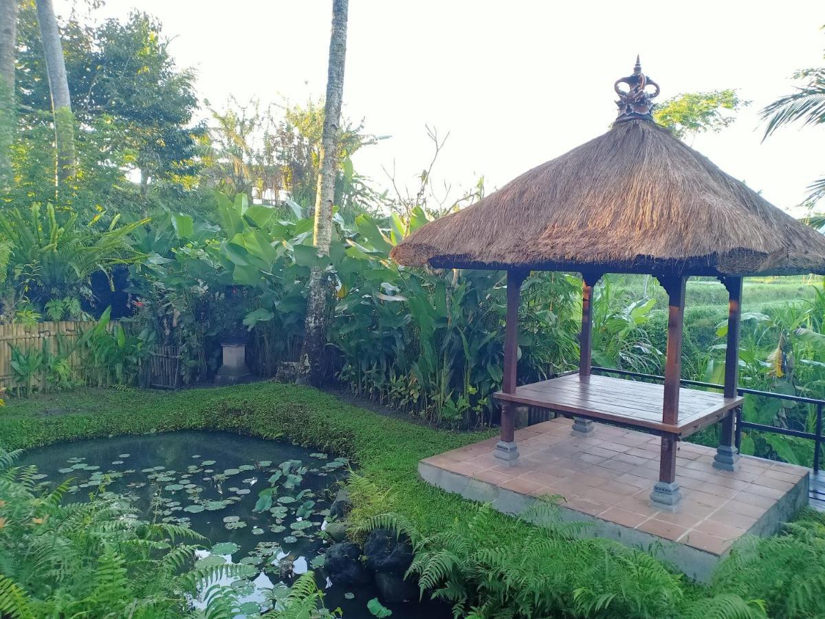 Jero Tumbuk Private Villa Selat Buitenkant foto