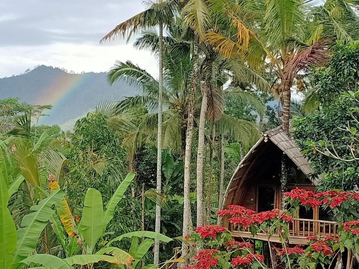 Jero Tumbuk Private Villa Selat Buitenkant foto