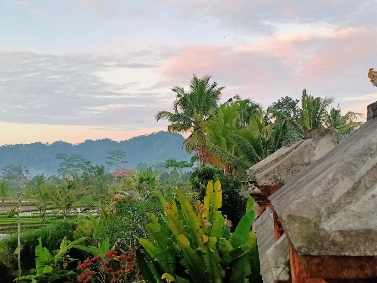 Jero Tumbuk Private Villa Selat Buitenkant foto