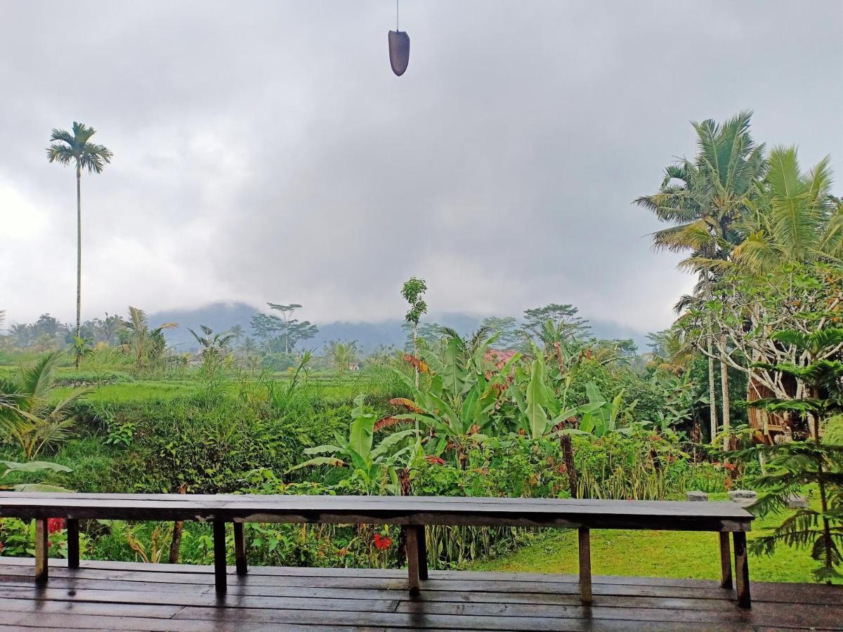 Jero Tumbuk Private Villa Selat Buitenkant foto