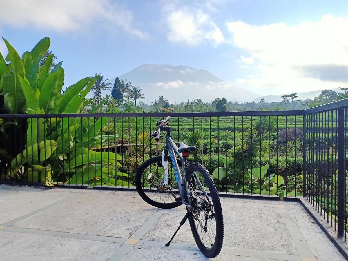 Jero Tumbuk Private Villa Selat Buitenkant foto