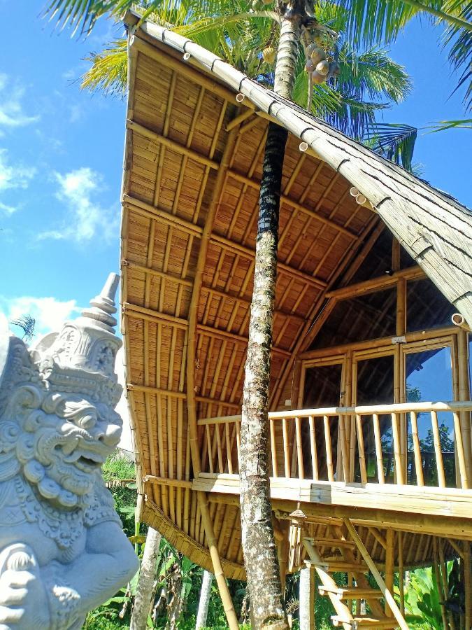 Jero Tumbuk Private Villa Selat Buitenkant foto