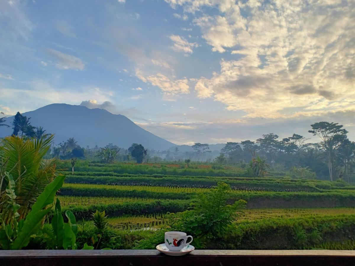 Jero Tumbuk Private Villa Selat Buitenkant foto