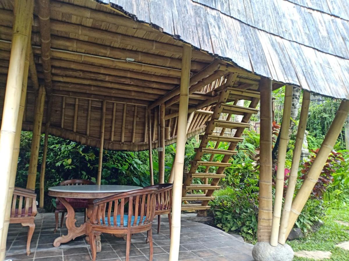 Jero Tumbuk Private Villa Selat Buitenkant foto