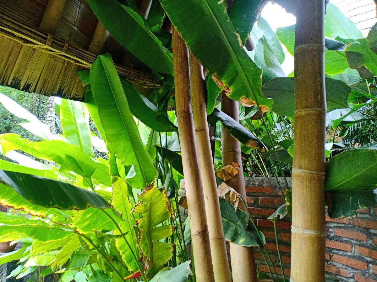 Jero Tumbuk Private Villa Selat Buitenkant foto