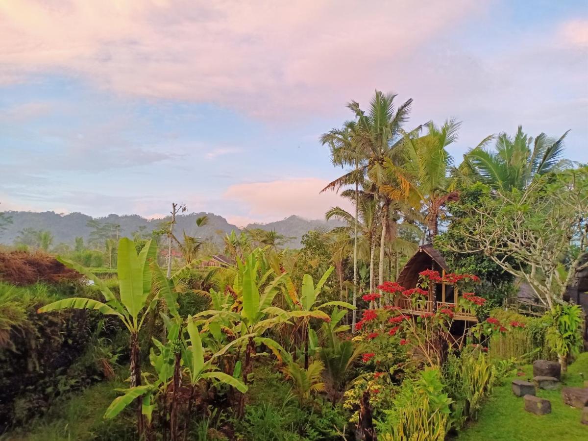 Jero Tumbuk Private Villa Selat Buitenkant foto
