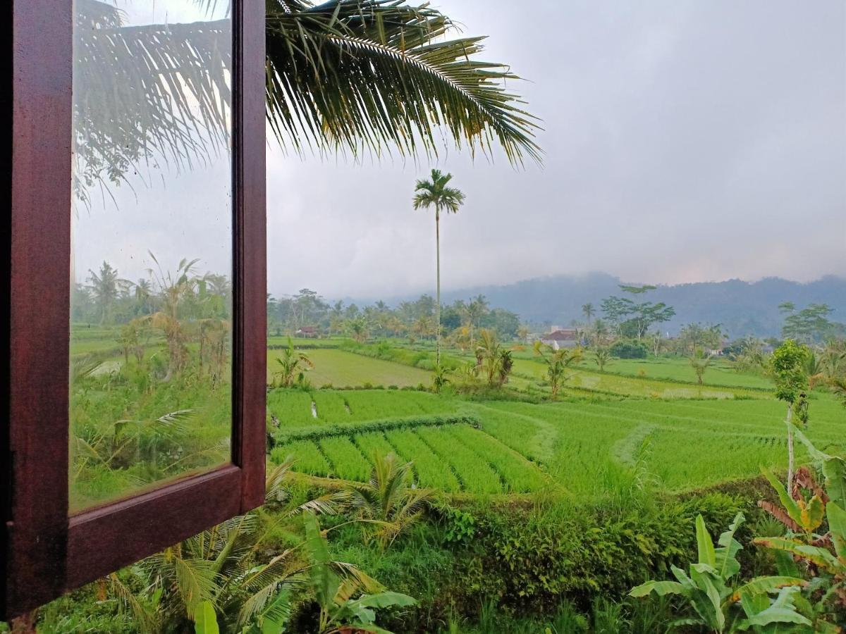 Jero Tumbuk Private Villa Selat Buitenkant foto