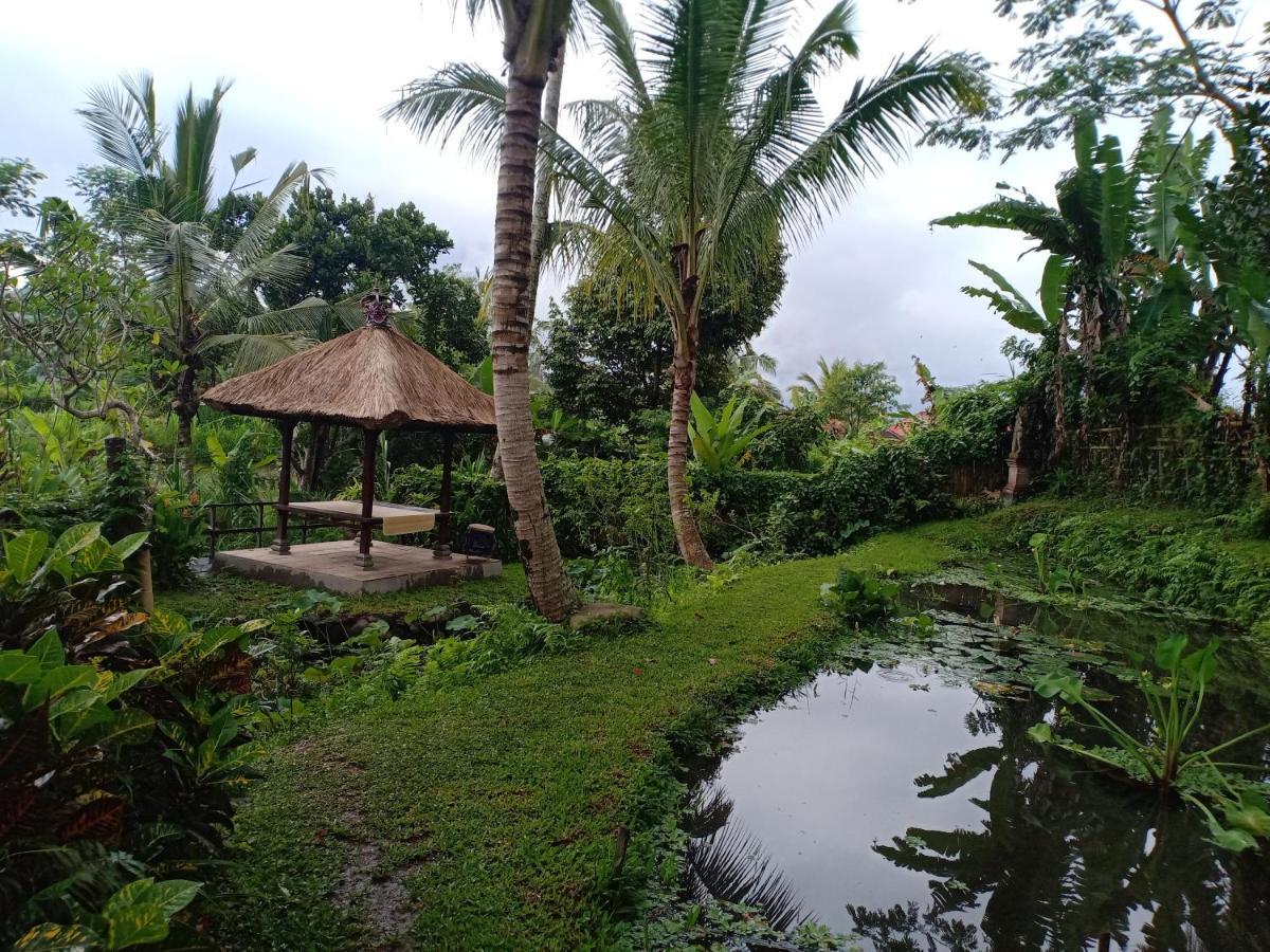 Jero Tumbuk Private Villa Selat Buitenkant foto