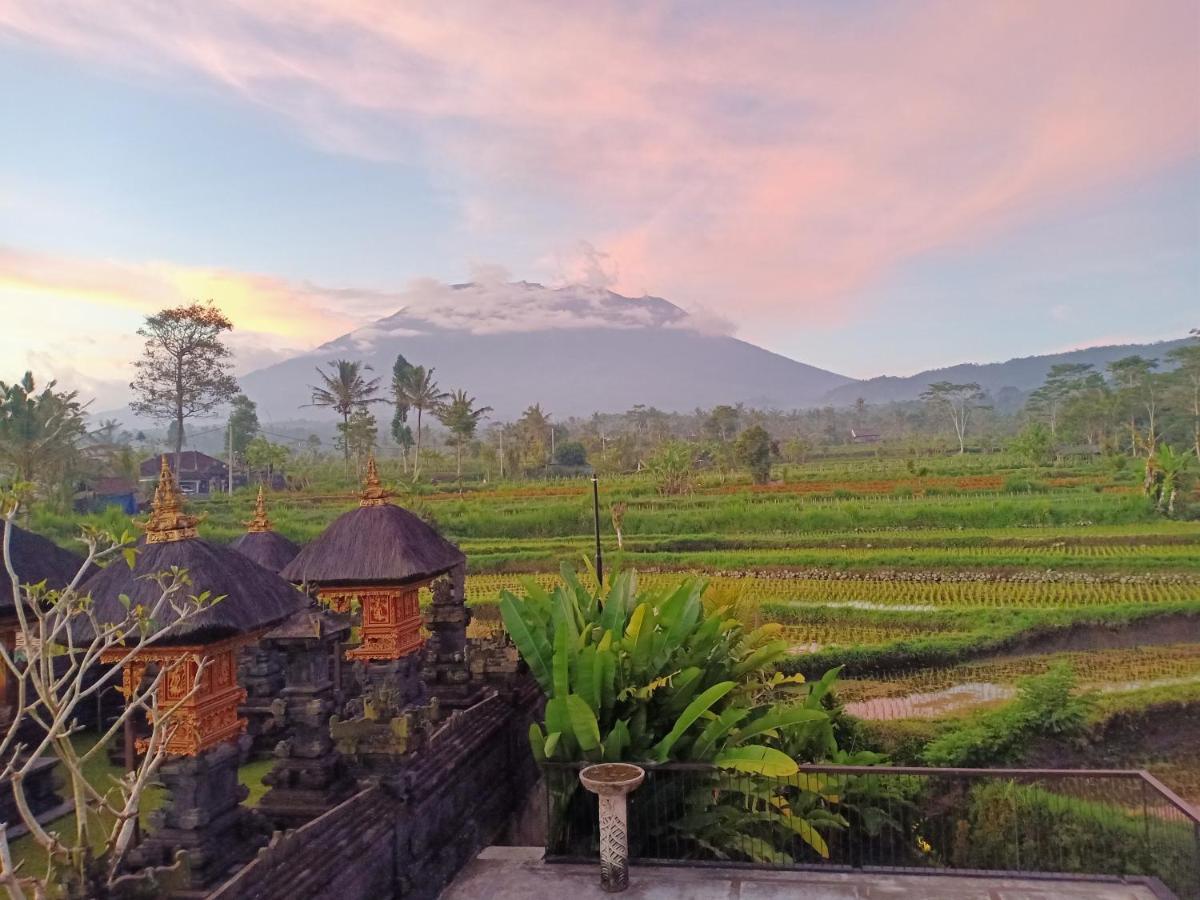 Jero Tumbuk Private Villa Selat Buitenkant foto