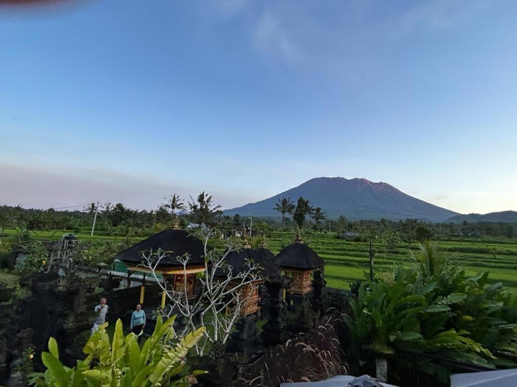 Jero Tumbuk Private Villa Selat Buitenkant foto