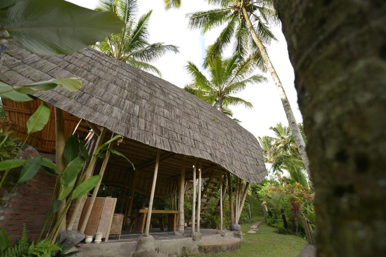 Jero Tumbuk Private Villa Selat Buitenkant foto
