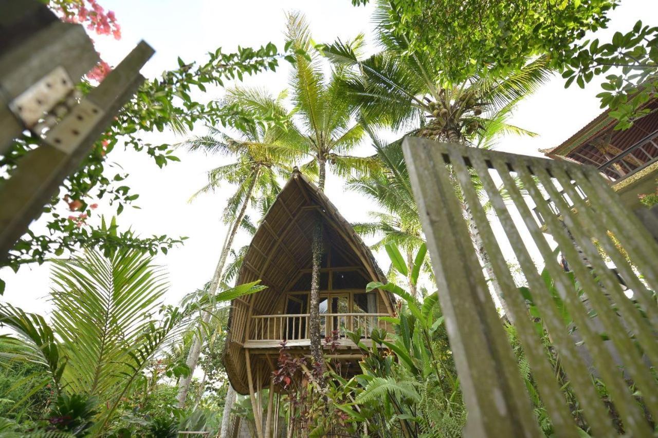 Jero Tumbuk Private Villa Selat Buitenkant foto