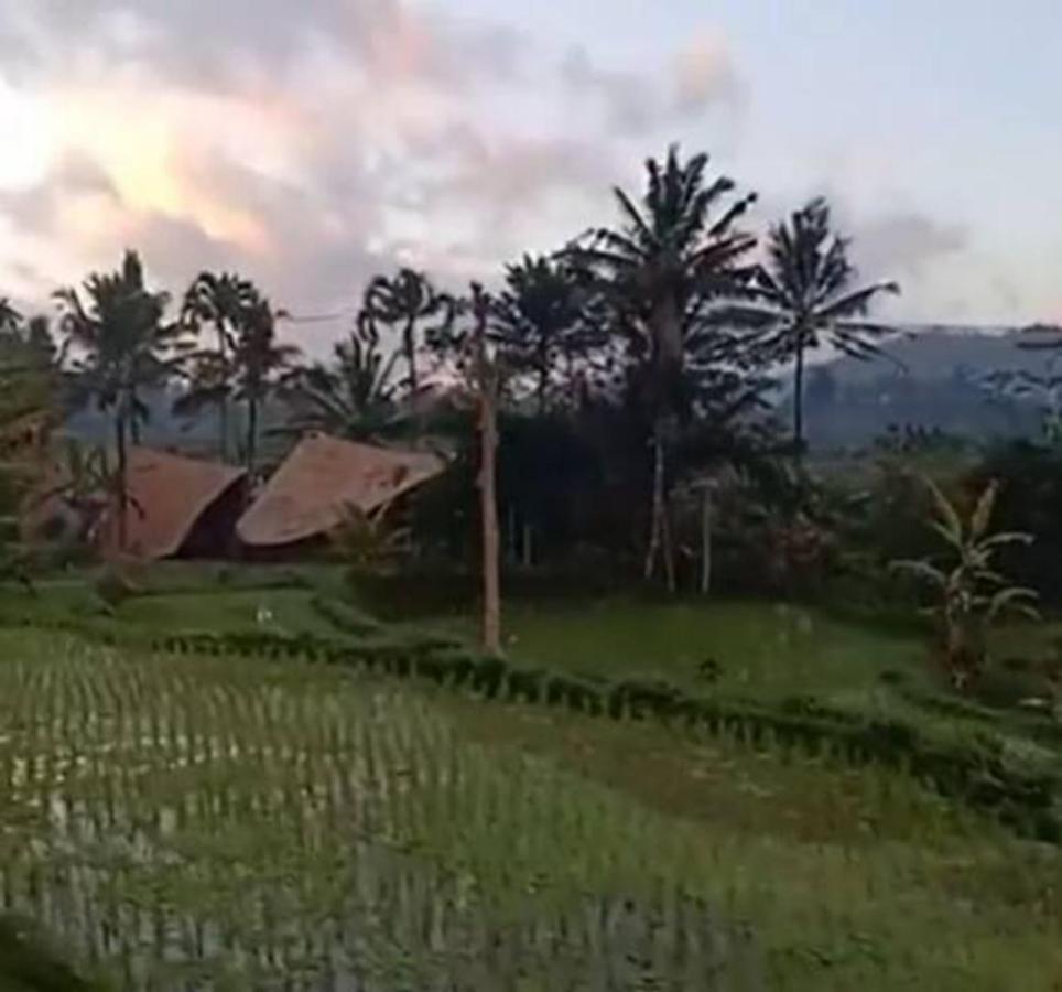 Jero Tumbuk Private Villa Selat Buitenkant foto