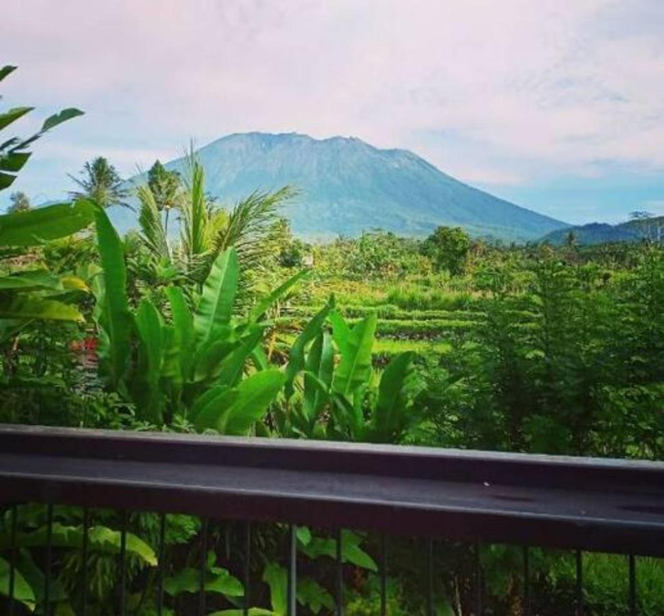 Jero Tumbuk Private Villa Selat Buitenkant foto