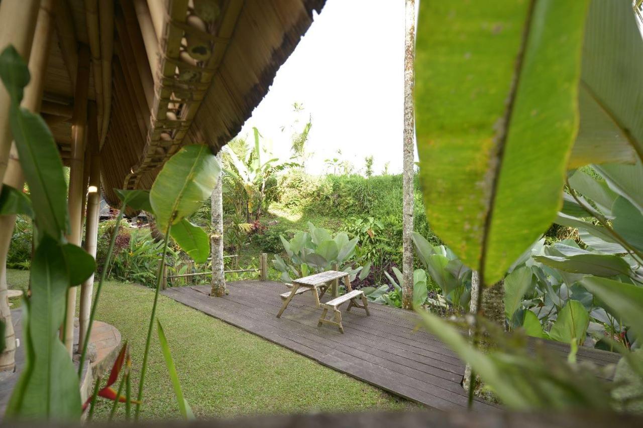 Jero Tumbuk Private Villa Selat Buitenkant foto