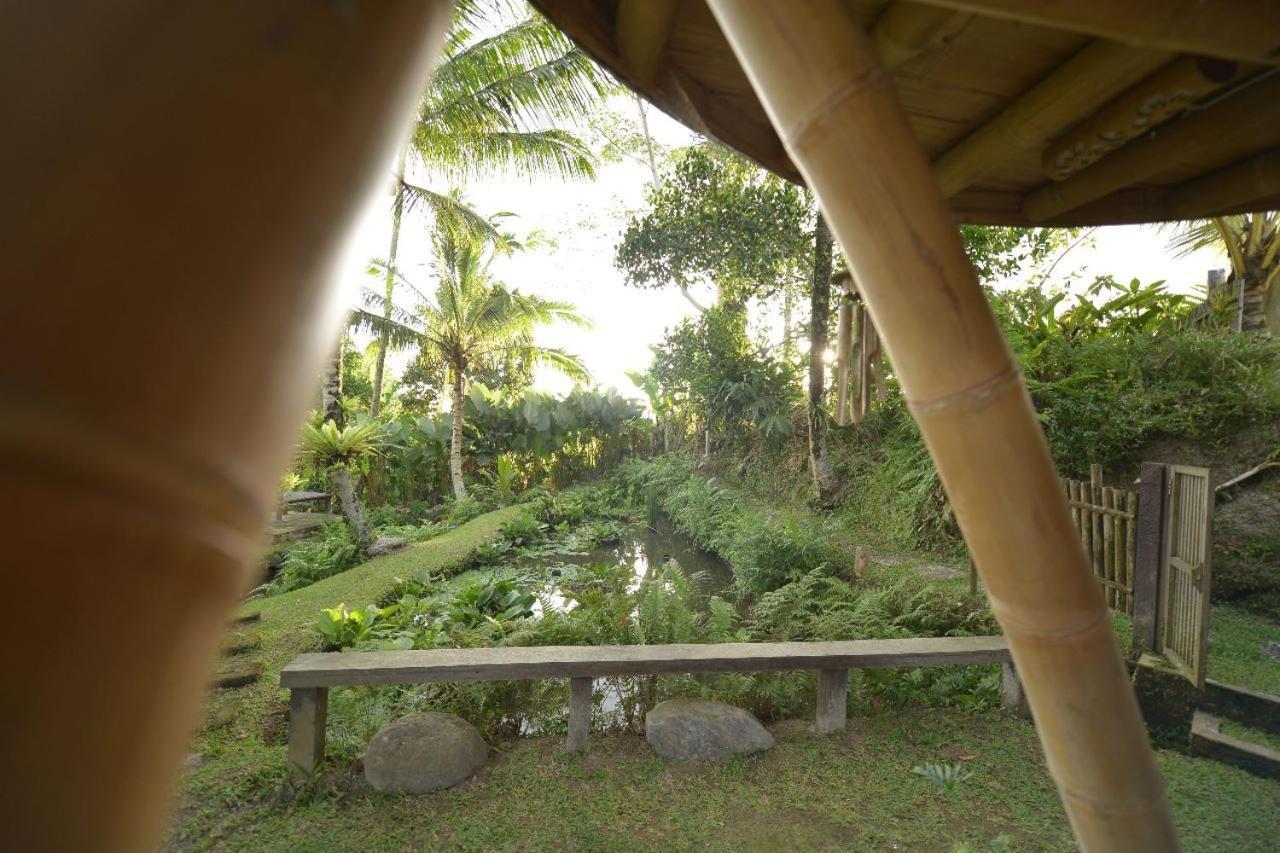 Jero Tumbuk Private Villa Selat Buitenkant foto