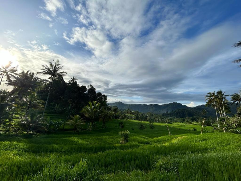 Jero Tumbuk Private Villa Selat Buitenkant foto