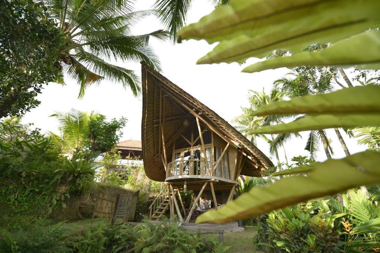 Jero Tumbuk Private Villa Selat Buitenkant foto