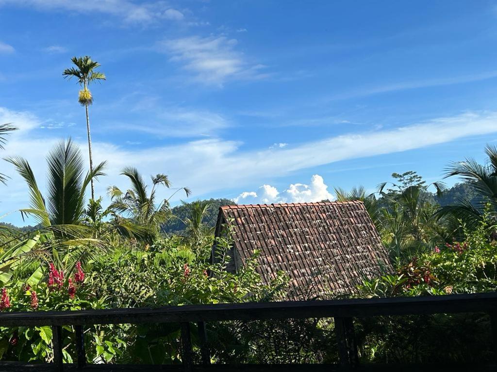 Jero Tumbuk Private Villa Selat Buitenkant foto