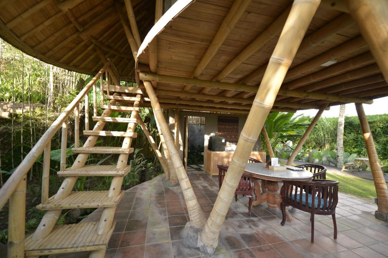 Jero Tumbuk Private Villa Selat Buitenkant foto