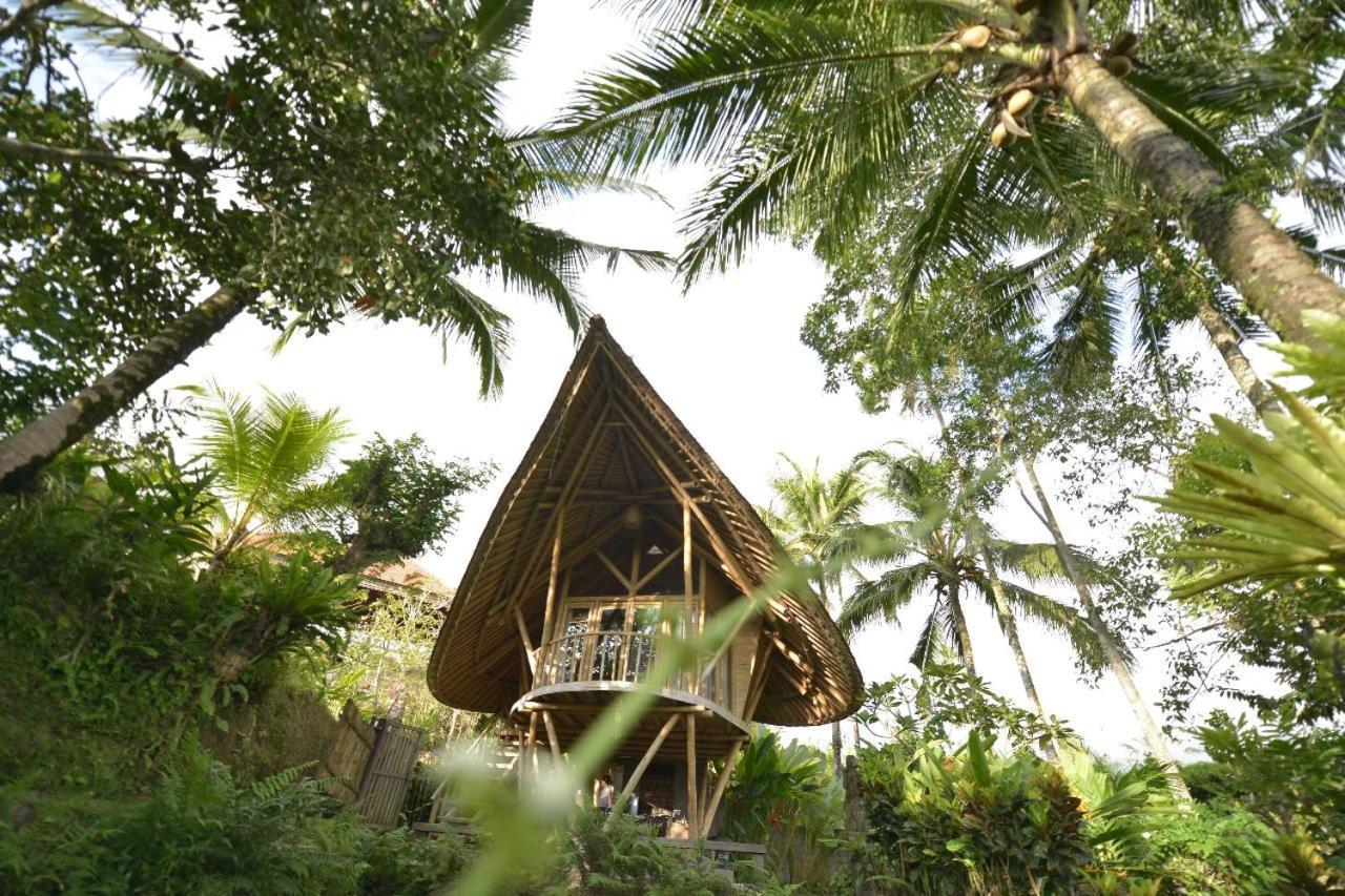 Jero Tumbuk Private Villa Selat Buitenkant foto