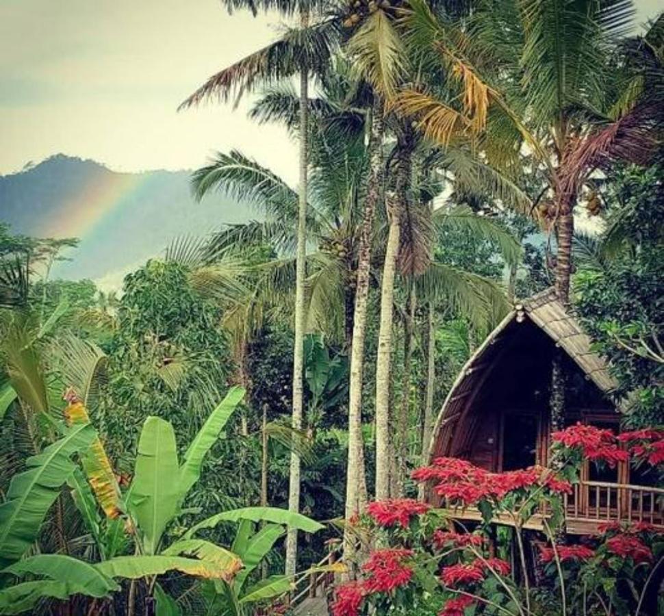 Jero Tumbuk Private Villa Selat Buitenkant foto