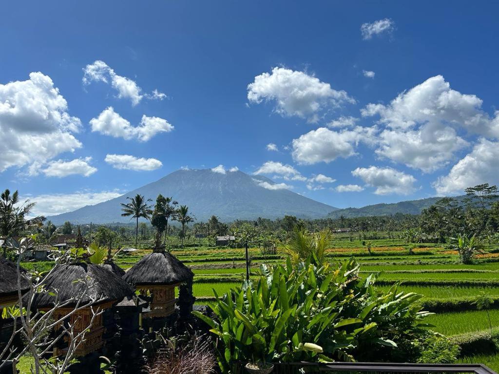 Jero Tumbuk Private Villa Selat Buitenkant foto